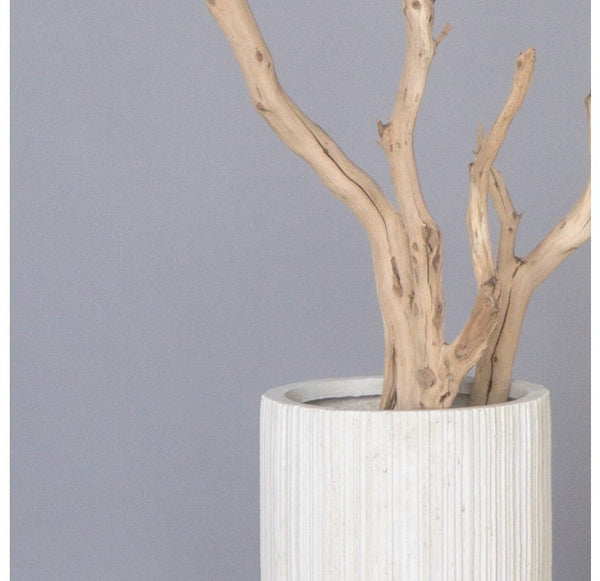 Gold Leaf Design Group Sandblasted Manzanita Tree In Small Linea Planter | Botanicals | Modishstore-3