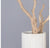 Gold Leaf Design Group Sandblasted Manzanita Tree In Small Linea Planter | Botanicals | Modishstore-3