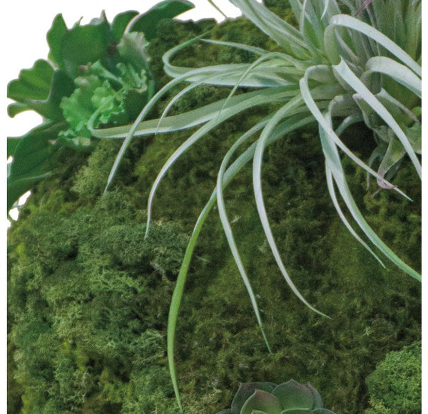 Gold Leaf Design Group California Mix Moss Sphere | Filler | Modishstore-3