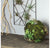 Gold Leaf Design Group California Mix Moss Sphere | Filler | Modishstore