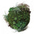 Gold Leaf Design Group California Mix Moss Sphere | Filler | Modishstore-2
