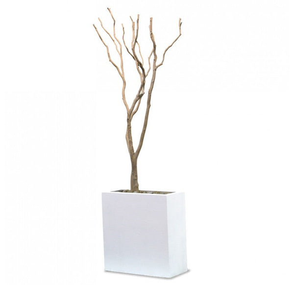 Gold Leaf Design Group Sandblasted Redwood In Tall White Rectangle Planter | Botanicals | Modishstore
