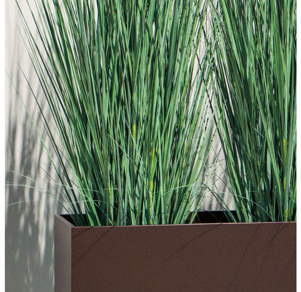 Gold Leaf Design Group Tall Japanese Grass In Custom Rectangle Planter | Botanicals | Modishstore-2