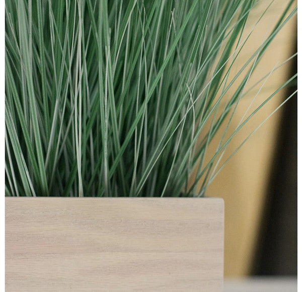 Grass: Bear Grass in Whitewash Linear Planter by Gold Leaf Design Group | Planters, Troughs & Cachepots | Modishstore-2