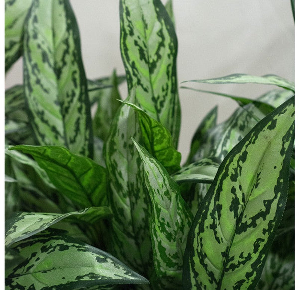 Silver Queen in Whitewash Linear Planter by Gold Leaf Design Group | Planters, Troughs & Cachepots | Modishstore-2