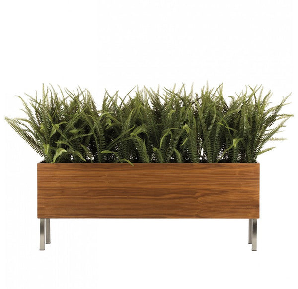 Sword Fern in Walnut Veneer Linear Planter with Legs by Gold Leaf Design Group | Planters, Troughs & Cachepots | Modishstore