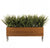 Sword Fern in Walnut Veneer Linear Planter with Legs by Gold Leaf Design Group | Planters, Troughs & Cachepots | Modishstore