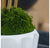 Bamboo Tree, Unpotted in Fiberglass Pia Planter by Gold Leaf Design Group | Planters, Troughs & Cachepots | Modishstore-3