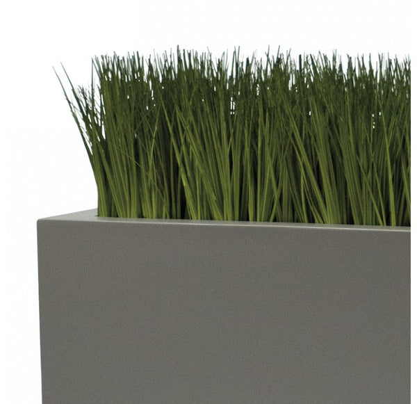 Grass: Japanese Grass in Tall Rectangle Planter by Gold Leaf Design Group | Planters, Troughs & Cachepots | Modishstore-2