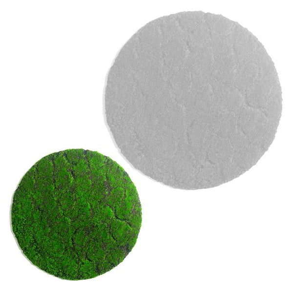 Green Wall, 'New Moss', Disc by Gold Leaf Design Group | Green Wall | Modishstore-4