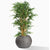 Gold Leaf Design Group Planter, Bamboo Tree Piedra - Small | Planters, Troughs & Cachepots | Modishstore