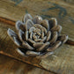 HomArt Ceramic Succulent - Set of 8 | Modishstore | Candle Holders-11