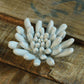 HomArt Ceramic Succulent - Set of 8 | Modishstore | Candle Holders-14