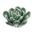 HomArt Ceramic Succulent - Set of 8 | Modishstore | Candle Holders-15