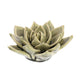 HomArt Ceramic Succulent - Set of 8 | Modishstore | Candle Holders-21