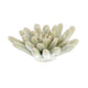 HomArt Ceramic Succulent - Set of 8 | Modishstore | Candle Holders-22