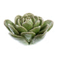 HomArt Ceramic Succulent - Set of 8 | Modishstore | Candle Holders-3