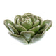 HomArt Ceramic Succulent - Set of 8 | Modishstore | Candle Holders-3