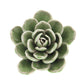 HomArt Ceramic Succulent - Set of 8 | Modishstore | Candle Holders-4