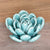 HomArt Ceramic Succulent - Set of 8 | Modishstore | Candle Holders-5