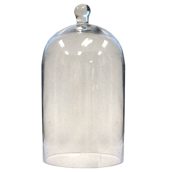 HomArt Glass Dome - Clear | Glass Terrariums | 8153-0 | Modishstore - 10