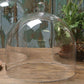 HomArt Glass Dome - Clear | Glass Terrariums | 8153-0 | Modishstore - 11