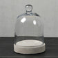 HomArt Glass Dome - Clear | Glass Terrariums | 8153-0 | Modishstore - 4