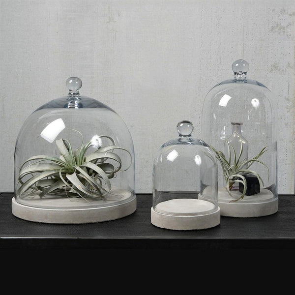 HomArt Glass Dome - Clear | Glass Terrariums | 8153-0 | Modishstore - 5