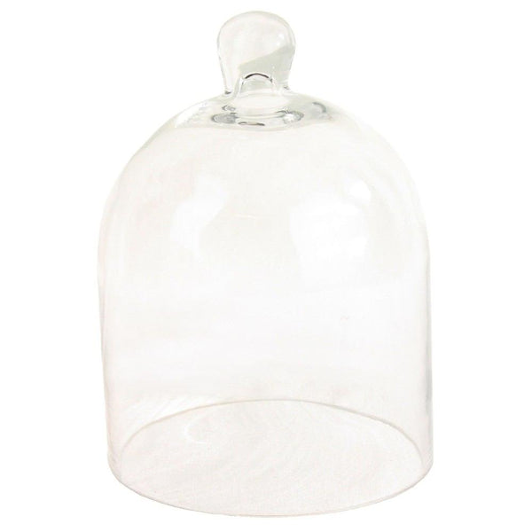 HomArt Glass Dome - Clear | Glass Terrariums | 8153-0 | Modishstore - 2