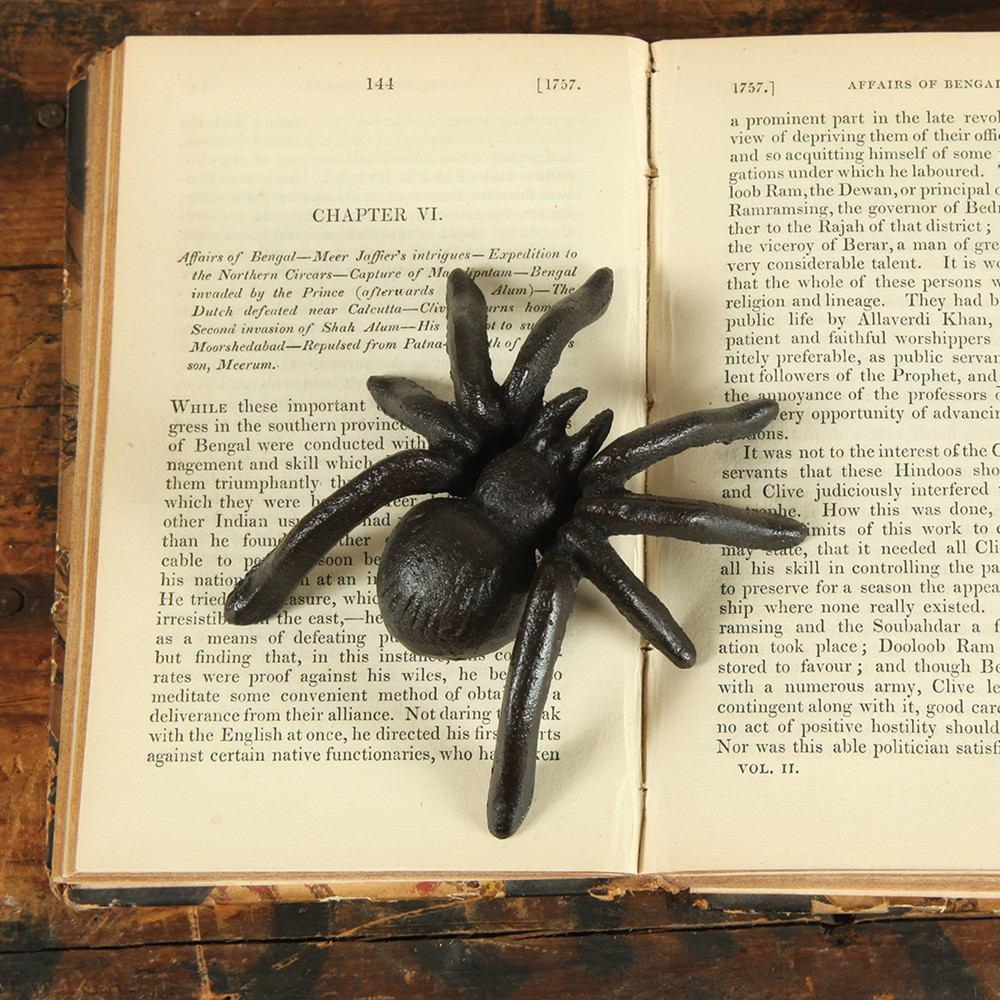 HomArt Spider - Cast Iron - Antique Black - Set of 12 - Feature Image | Modishstore | Sculptures | 3170-2