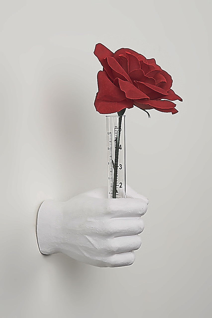 Interior Illusions Wall Vase Hook