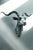Interior Illusions Plus Chrome Sheep Head Taxidermy - 18
