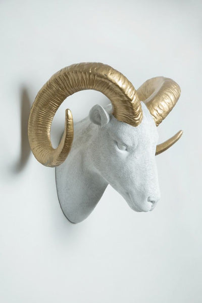 Interior Illusions Plus Goat Head Taxidermy White/Gold - 20