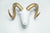 Interior Illusions Plus Goat Head Taxidermy White/Gold - 20