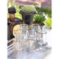 Zodax 12-Piece Fiesta Tequila Shot Glass Set | Drinkware | Modishstore