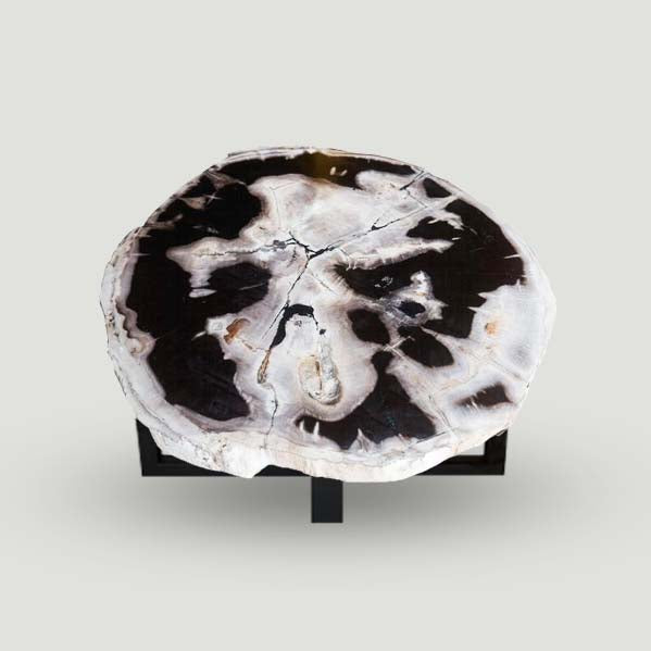 Products Petrified Wood Slab- 25