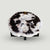 Products Petrified Wood Slab- 25