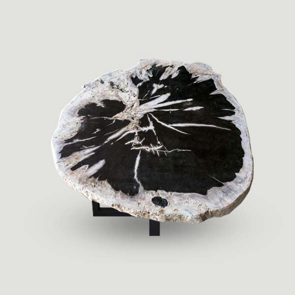Petrified Wood Slab- 29