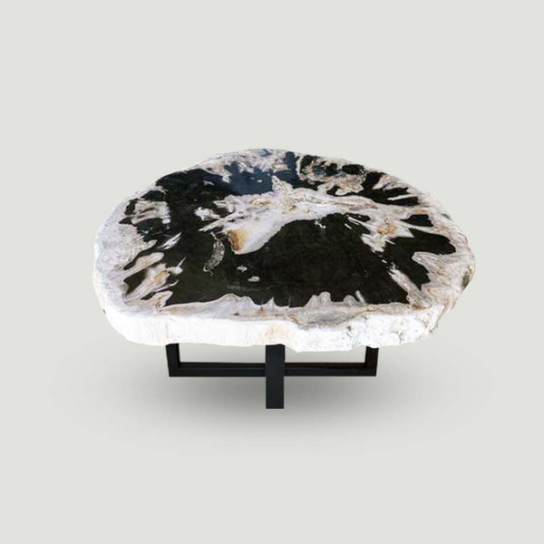 Petrified Wood Slab Use in Coffee Table | End Table PF-1114 by Aire Furniture