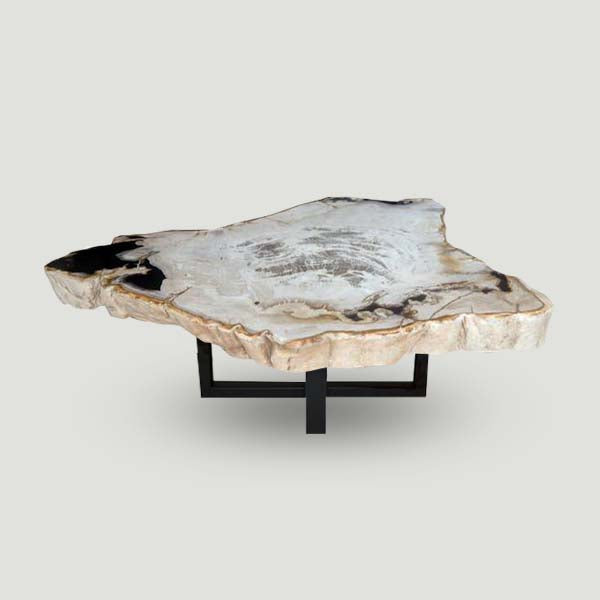 Petrified Wood Slab- 12