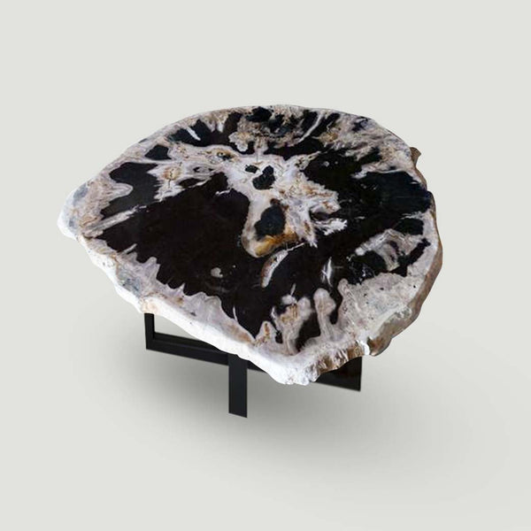 Petrified Wood Slab With Custom Made Base PF-1117  by Aire Furniture