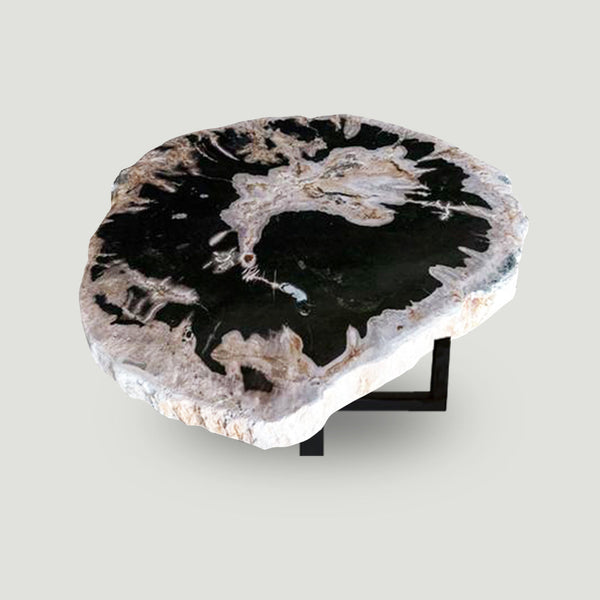 Petrified Wood Slab With Custom Made Base PF-1118  by Aire Furniture