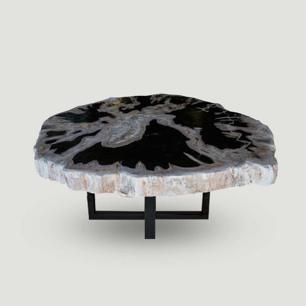 Petrified Wood Slab- 20