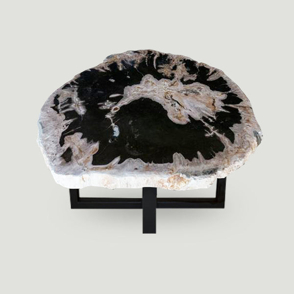 Petrified Wood Slab With Custom Made Base PF-1118  by Aire Furniture