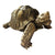 Moe's Home Collection Mock Turtle Sculpture | Modishstore | Sculptures-2
