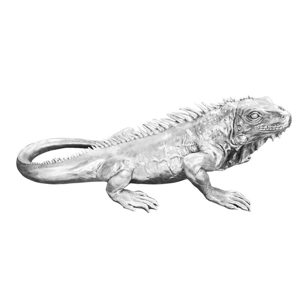 Moe's Home Collection Giant Iguana Statue | Modishstore | Animals & Pets