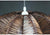 Woven Wood Pendant Lamps-7