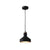 EdgeMod Vedder Pendant Lamp
