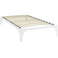 Modway Ollie Twin Bed Frame | Beds | Modishstore-23
