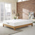 Modway Aveline 10